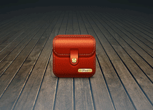 A Portfolio Project